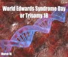 Всемирный день синдрома Эдвардса или трисомия 18